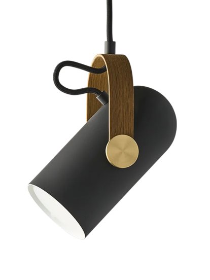 Carronade II Spot Pendelleuchte