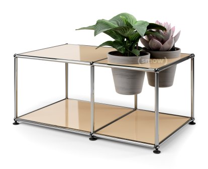 USM Haller Pflanzenwelten Beistelltisch, USM beige, Basalt